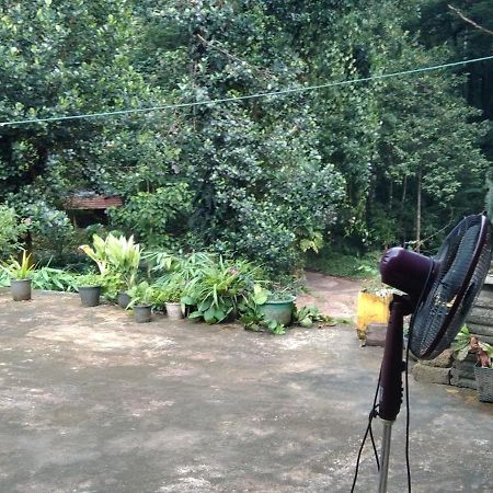 Kanneliya Eco Garden Hotel Koralegama ภายนอก รูปภาพ