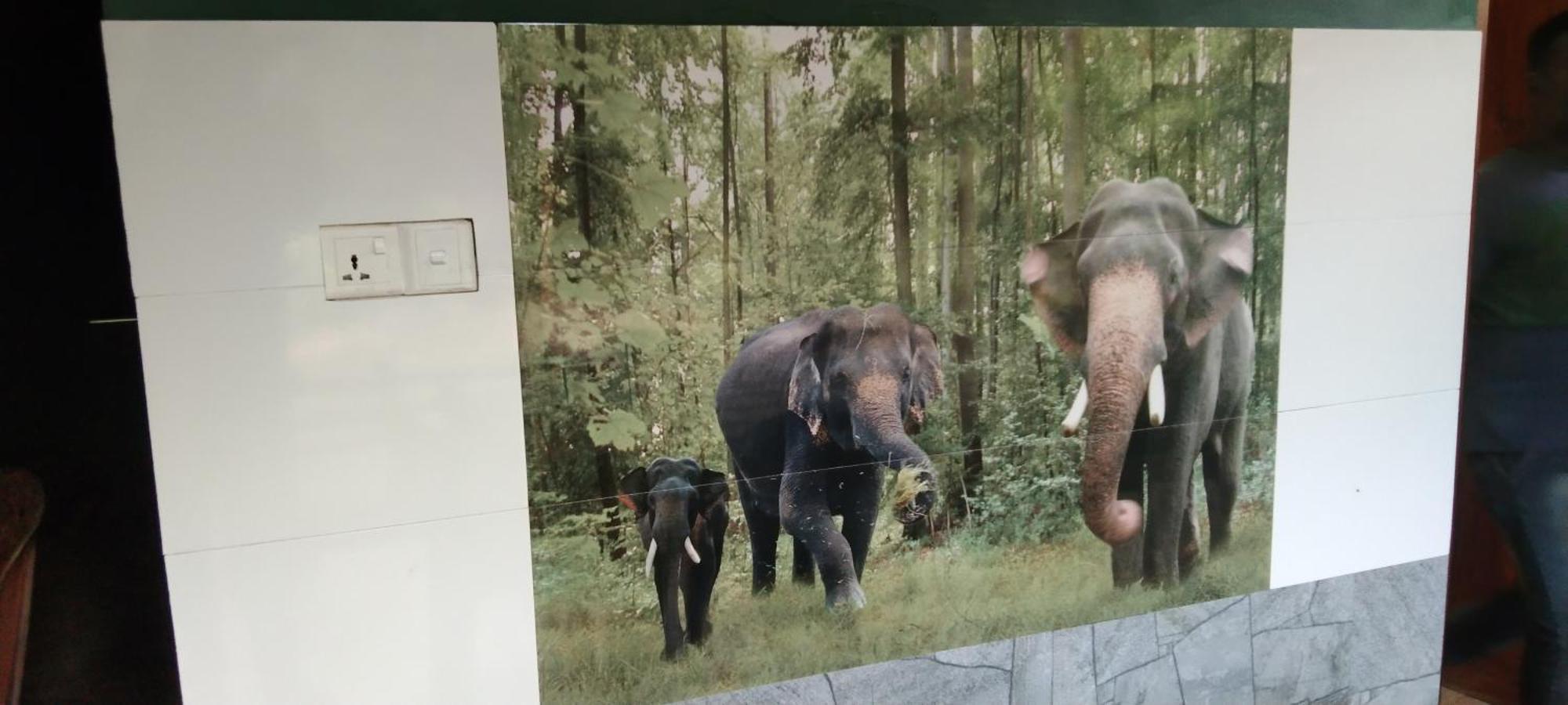 Kanneliya Eco Garden Hotel Koralegama ภายนอก รูปภาพ